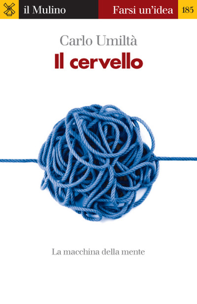 Copertina Il cervello