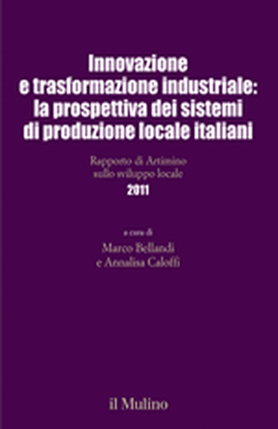 Cover Innovazione e trasformazione industriale: la prospettiva dei sistemi di produzione locale italiani